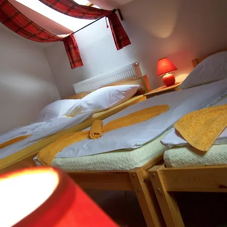 Restaurace A U Lva Gasthof 3*