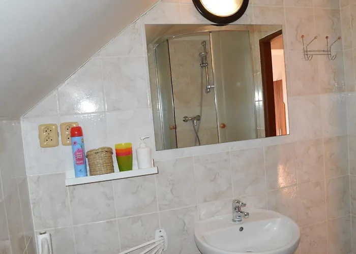 Gasthuis Restaurace A U Lva 3*