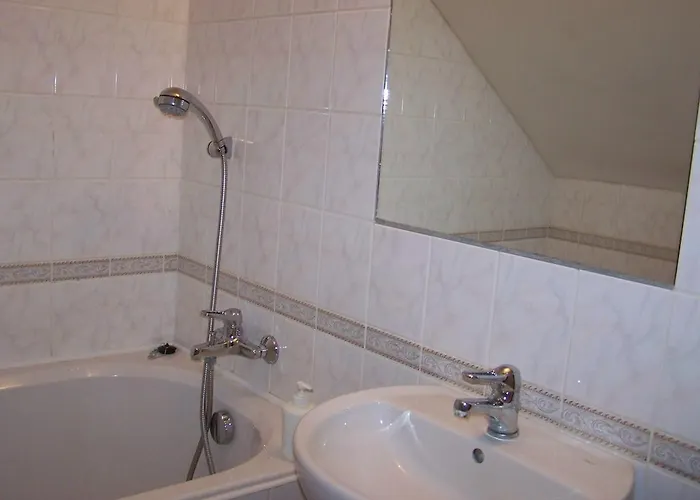 Restaurace A U Lva 3*