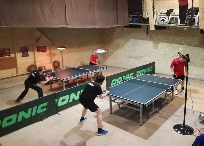 Restaurace A U Lva 3*